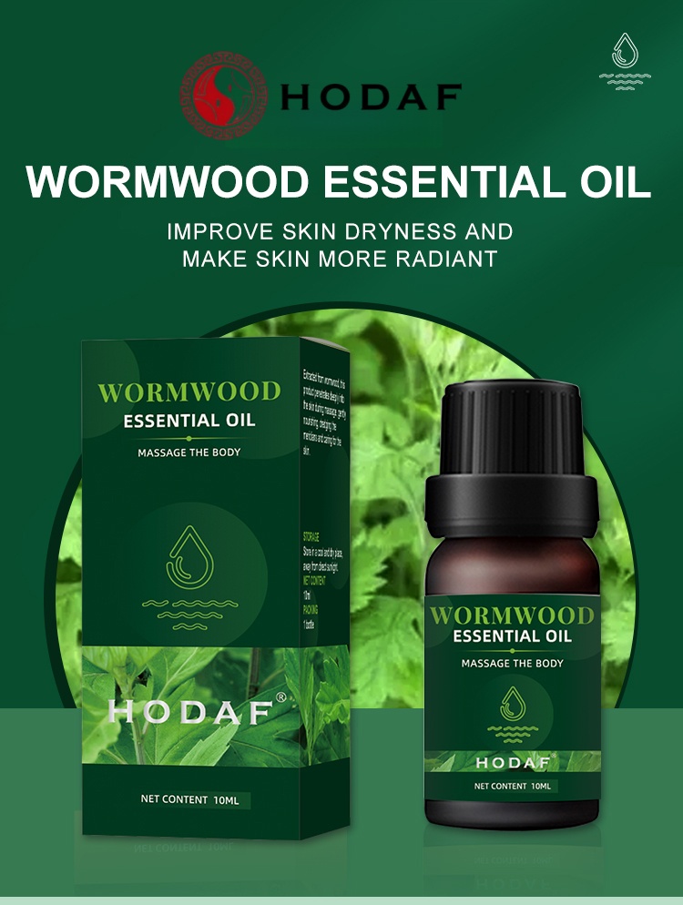 Luxury Skincare Shop - Minyak Esensial Mugwort HODAF—Minyak Pijat Tubuh,